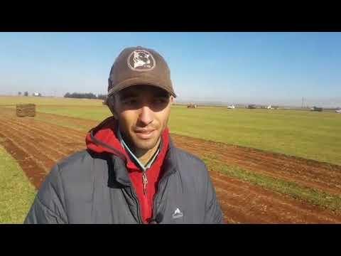 Farming with grass ... how hard can it be?