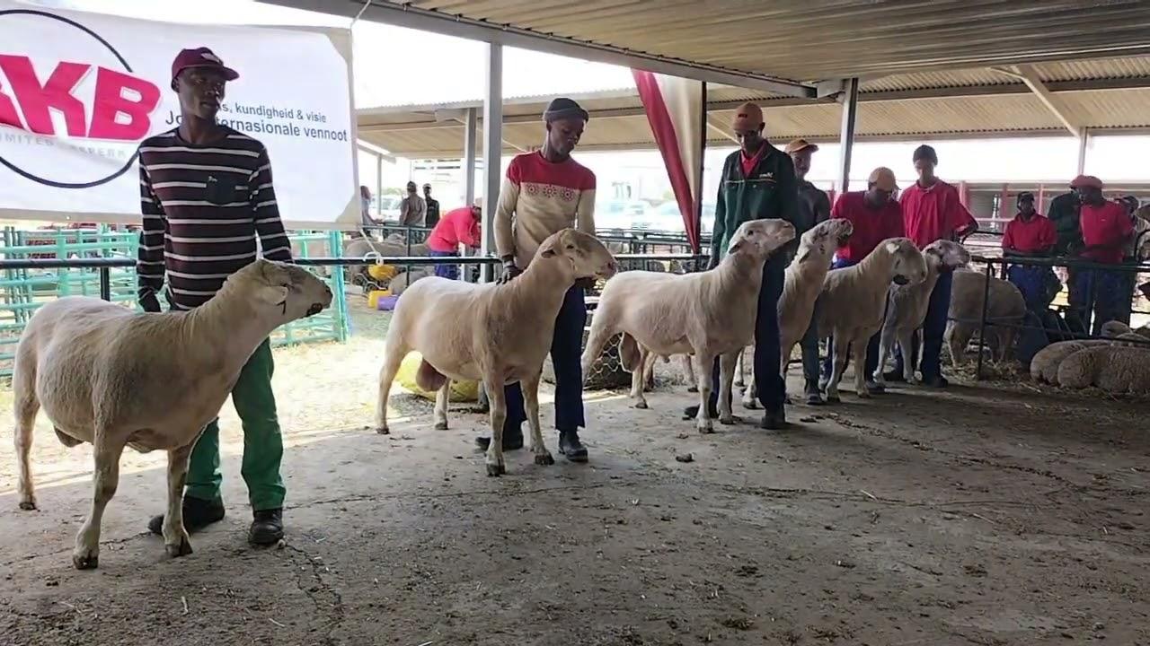 Andre Malherbe by die Hertzogville 75ste Landboufees.
