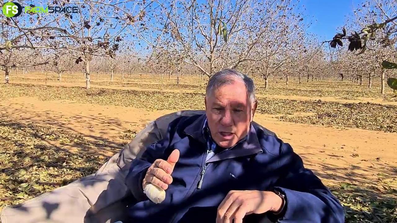 Hoe het ons by die huidige pekanneut pryse vir 2020 uitgekom?