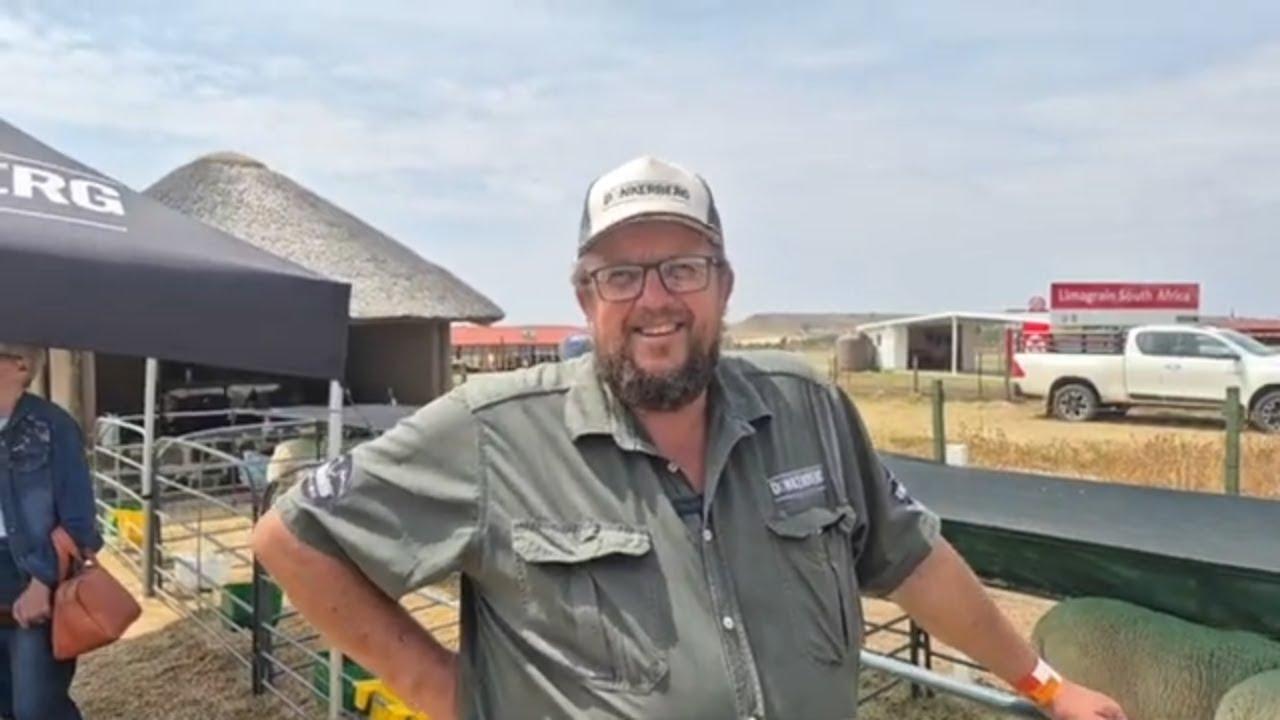 Wat was Donkerberg boerdery se geheim om die Lamb Champs titel te vat?