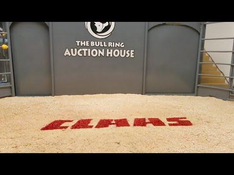 Hurwitz Farming Boran Summer Sale
