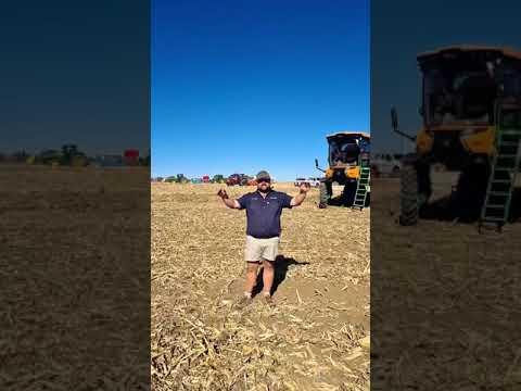 Ons sien julle môre by Arlington Boeredag 2024.