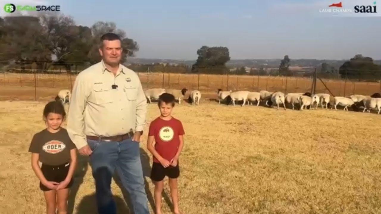 Hannes van Staden van Tiegerpoort Dorpers vertel ons hoekom hy by Lamb Champs 2024 ingeskryf het.