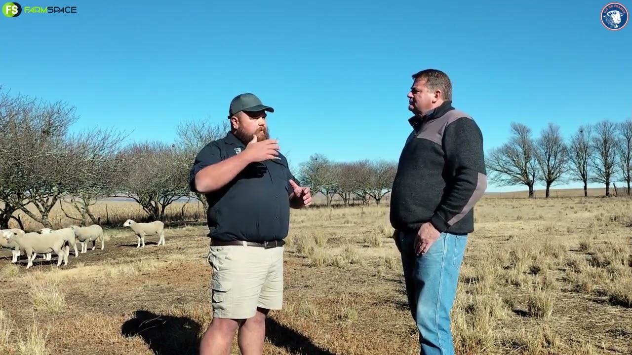 Ile De France teler Frank Pen vertel ons hoekom hulle die lamb champs "kampioen-skaap" kan wen!