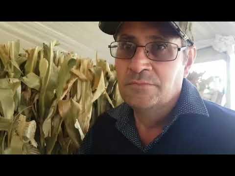 Pannar op Nampo. Wat is nuut?