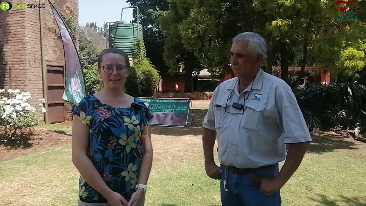 Niemen Beef Shorthorn Veiling skop more, 15 Oktober 2022, 11:00 af.