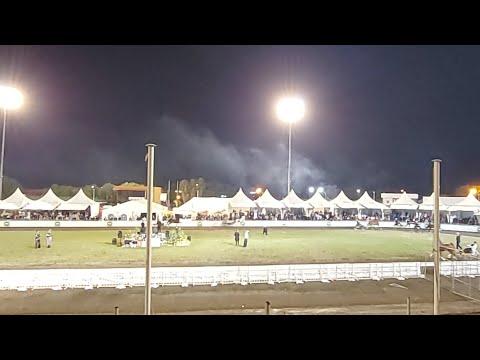 SA Saddle Horse National Championship 2022