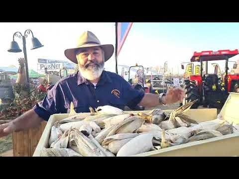 Willie by JONES MASJIENE wys hoe om kopmeel te maal op NAMPO 2024
