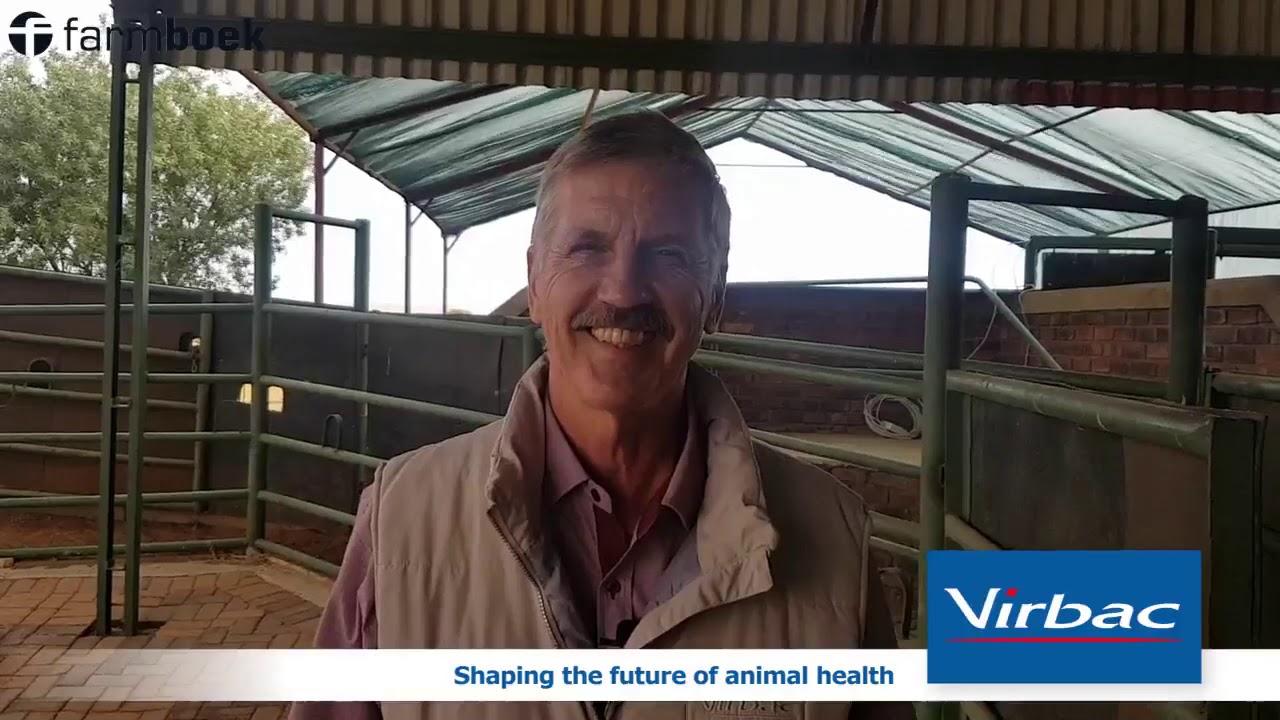 Dr Hensie from Virbac SA about Crypto that occurs by sheep.