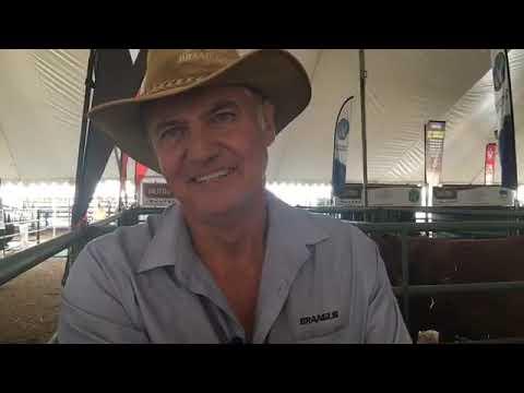 We introduce to you ... John Rafferty - ALFA Expo 2019