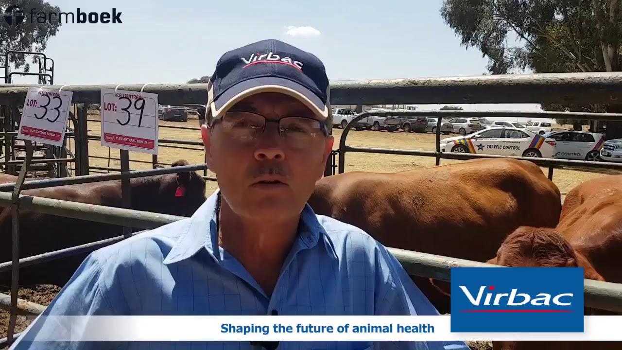 FlukaZole C from Virbac SA - Risks for livestock in Mpumalanga