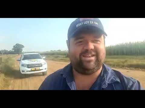 Hertzogville hou Landboufees