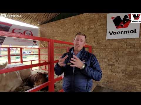 Voermol vier 'n groot mylpaal hier by Nampo 2022, ons vind meer uit.