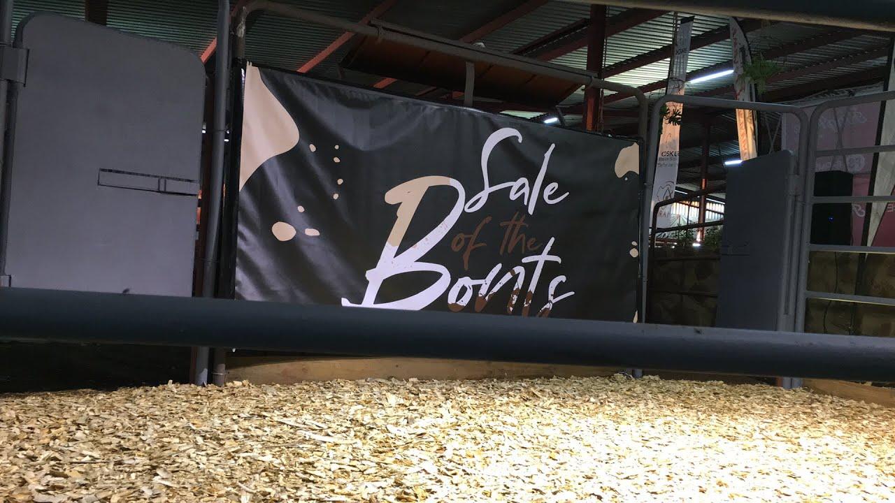 Sale of the Bonts
