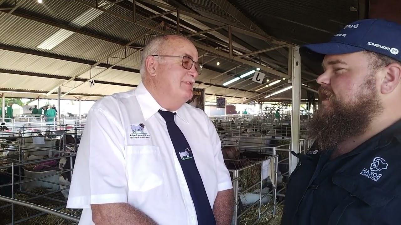 Die Wêreld Boerbok Kampioenskappe en Skou by Bloemskou.