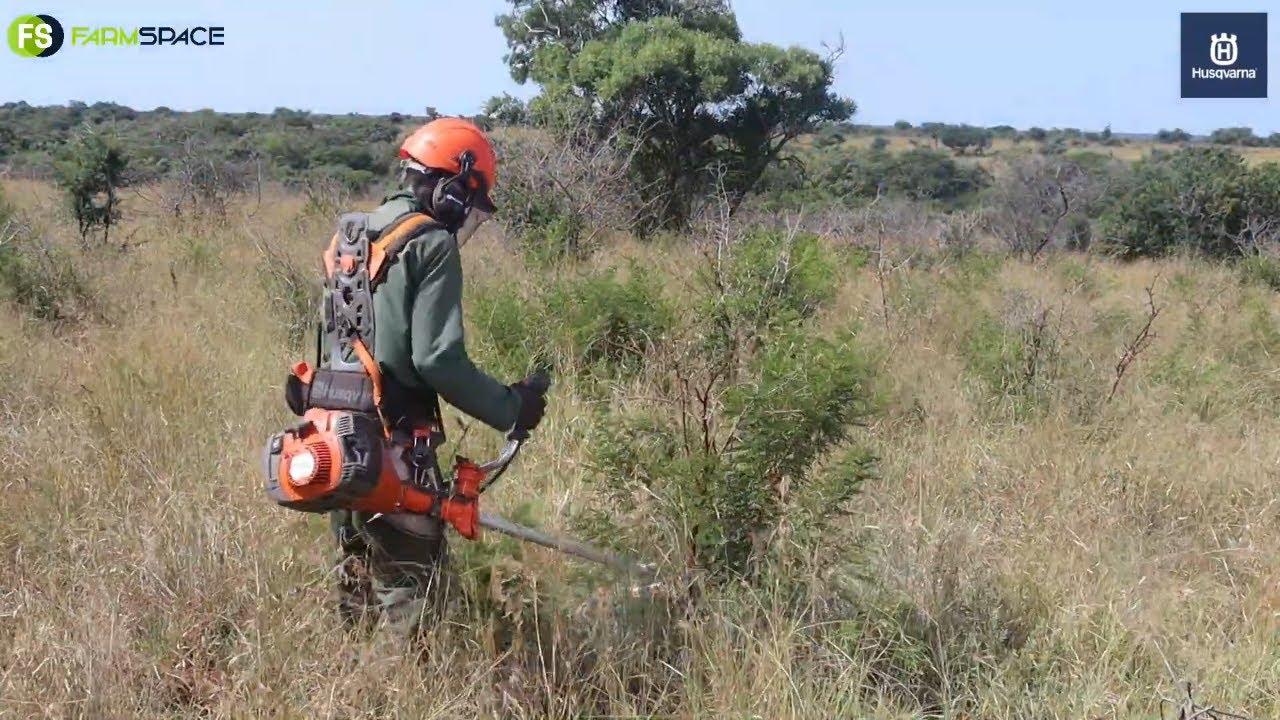 Veld Management and Encroachment - How are Husqvarna staying ahead?