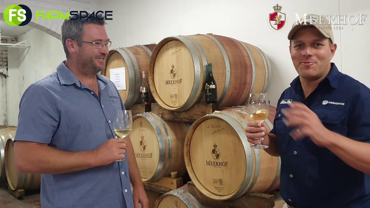 Meerhof Wines: Wynproe met Jaco Brand wynmaker van Meerhof.