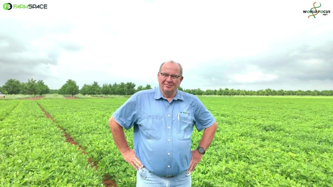 Wat is die belangrikheid van kalsium op peulgewasse? At van World Focus Agri vertel meer.