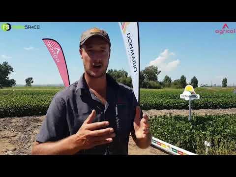 Modderbult Sojaboon Boeredag 2021 - Sojaboon bestuur