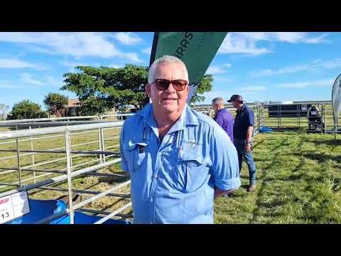 Stephnus van Sirrs Borane by die Cape Prestige Boran Auction 2023