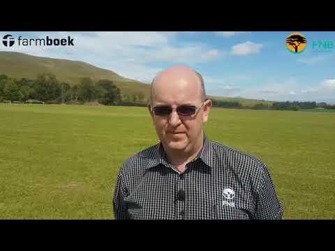 FNB - Dawie Maree, Underberg