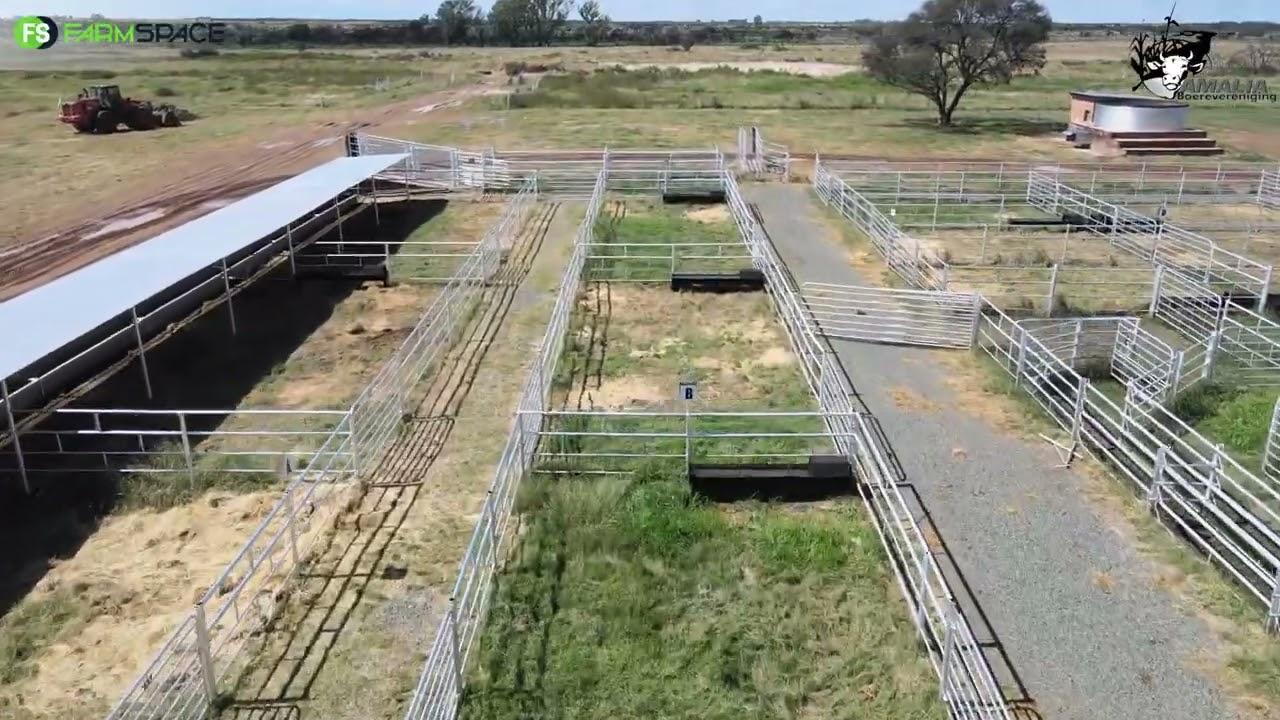 Alles begin by jou verse. Kyk hoe voeg die Ou Wes-Transvaal Verseskou waarde tot jou boerdery toe.