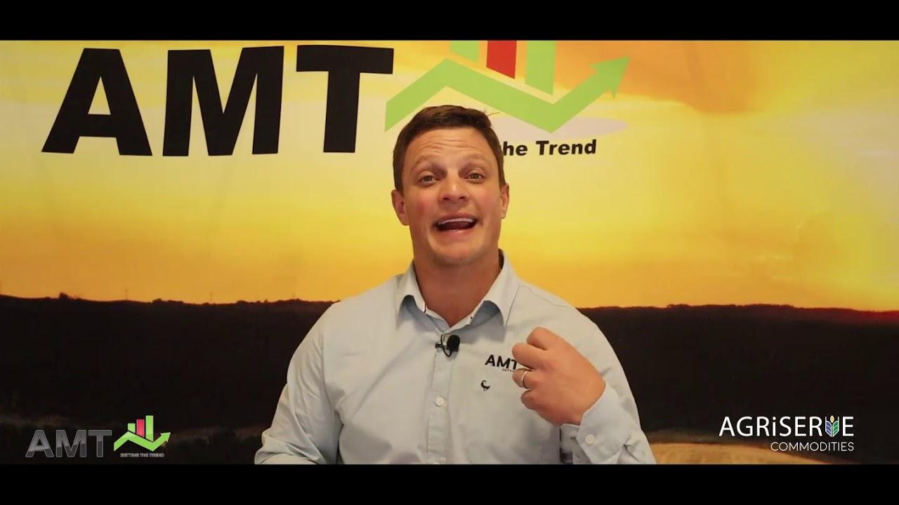 AMT - Grain and livestock overview 10 July 2019