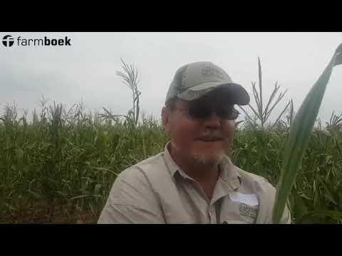 Capstone at the Excelsior Farmers Day 2019