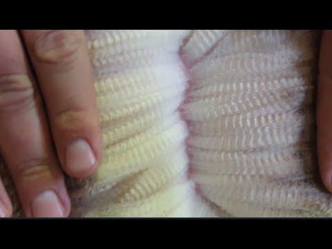Heuningkrans Merino Veiling 25 Februarie - Tinus Gesels met Eddie & Eduard Prinsloo.