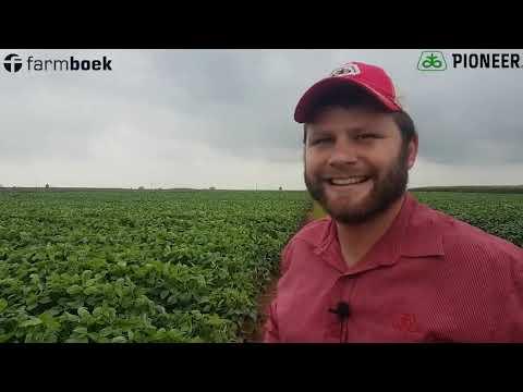 Pioneer on Sclerotinia sclerotiorum & the best Soya Cultivars