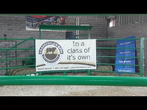 Grassfields Beef Auction Live
