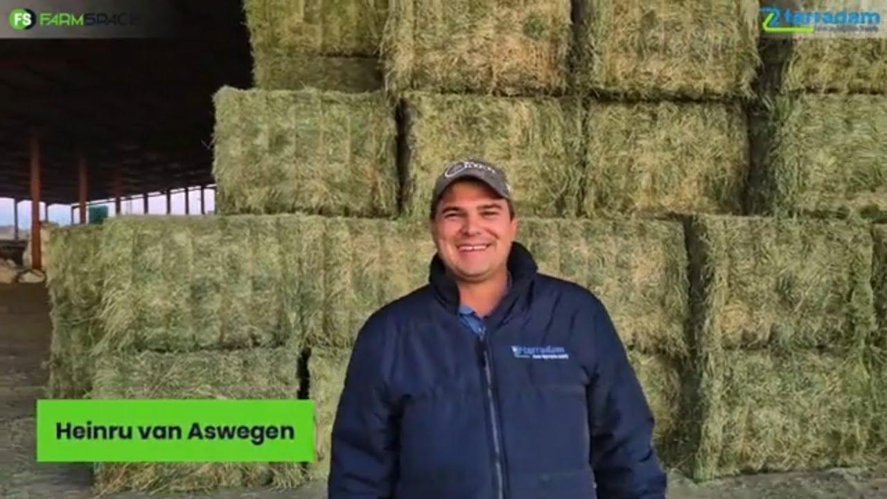 Hoe het Terradam hierdie bale gekry? Heinru vertel meer.