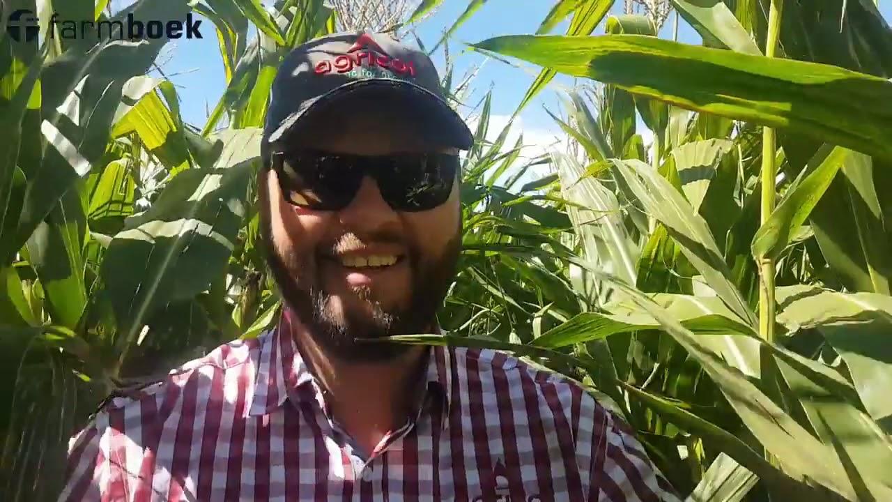 Agricol has their dependable and quality silage cultivar at the Precision Farmers Day 2019