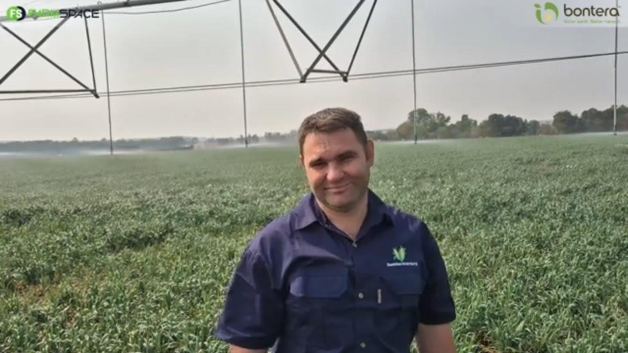 Hoekom gebruik Johan Opperman Bontera se Impact as grondkondisioneerder?