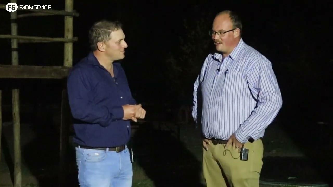 Tinus en Derick Le Roux gesels oor die Nasionale Limousin Kampioenskappe en die Limousin ras  in SA