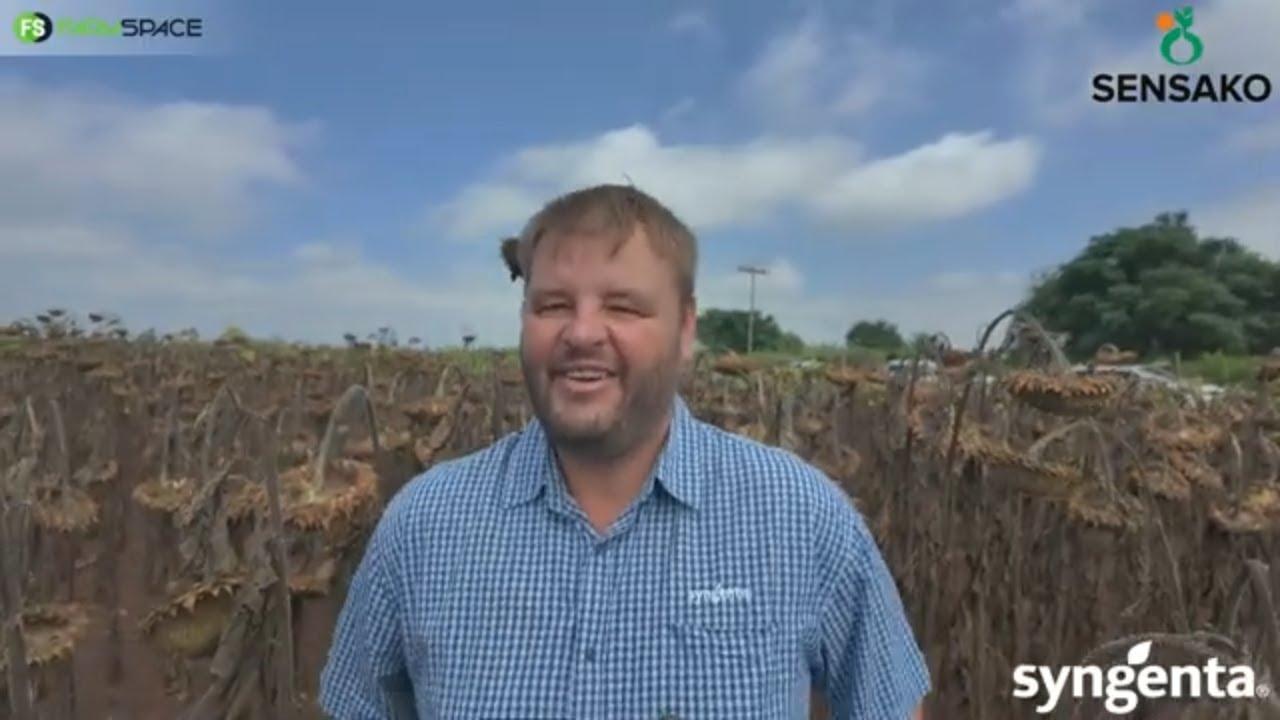 Hoe pas die Sensako SNK270 medium groeier in jou pakkie in en hoe gaan dit vir jou waarde toevoeg?