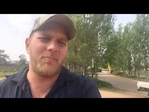 Swartland Show 2019 in Moorreesburg.