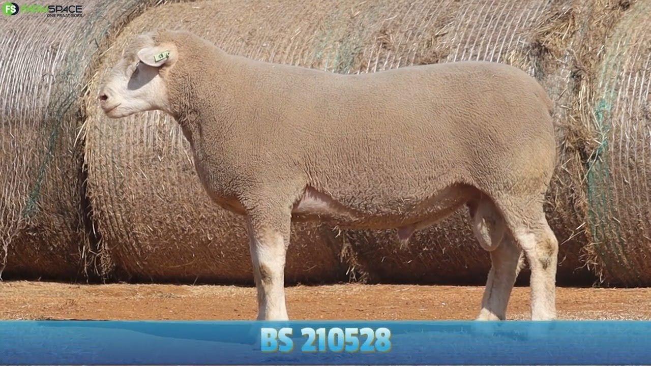Hageland Ile De France bied met trots aan BS 21 528.