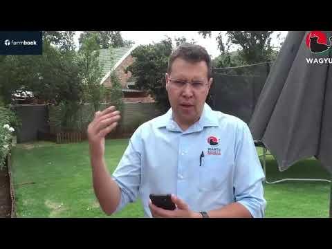 Dr. Fanie Steyn speaks about Wagyu and the genetics in South Africa.