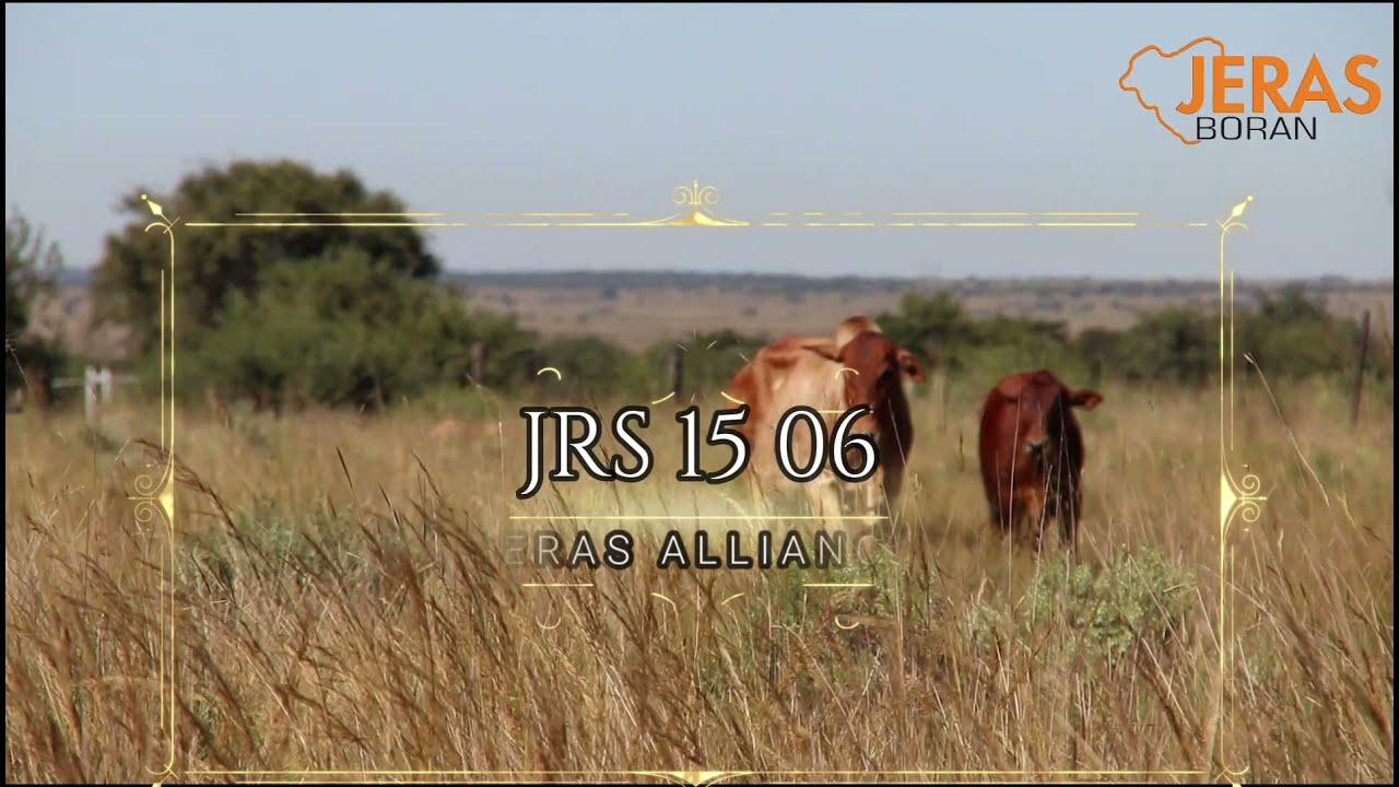 Jeras Alliance Boran Auction JRS 15 06