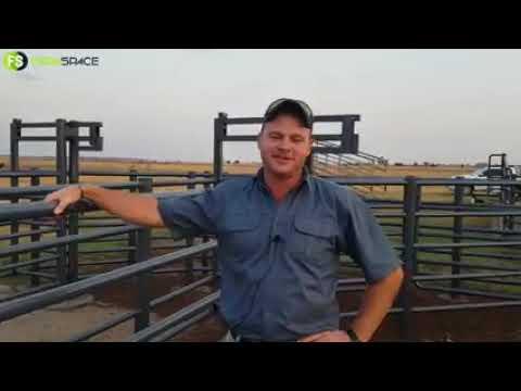 R7 Civils se krale by Hotspot Cattle