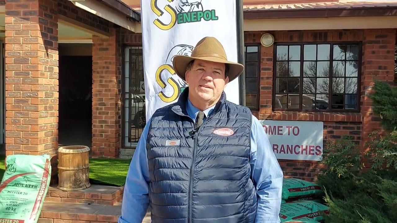 Ian Grobbelaar van Vleissentraal vertel ons hoekom die Senepol vir hom so spesiale ras is.