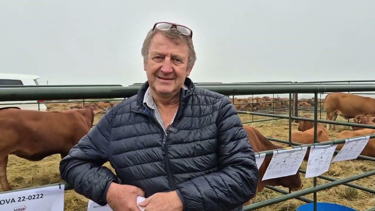 Dr. Niel van Zyl van In Vitro Africa gesels oor sy vordering met VOVA Genetics se kudde.