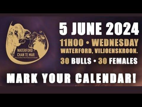 Waterford, Chan-Te-Mar Droughtmaster Auction live from Viljoenskroon