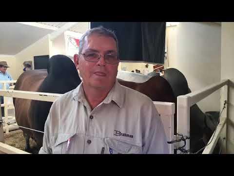 Nampo 2019 - Brahman Cattle Breeders Society