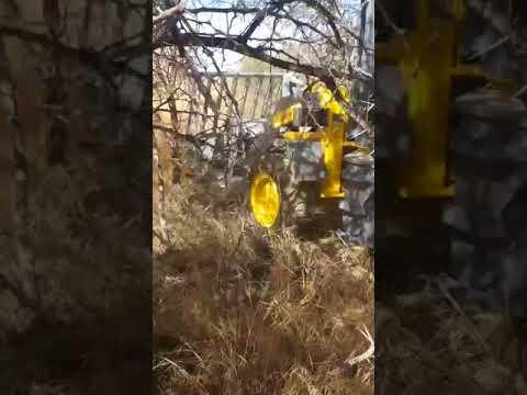 Wuhlf Buffel Demo 2 - Ontbossing