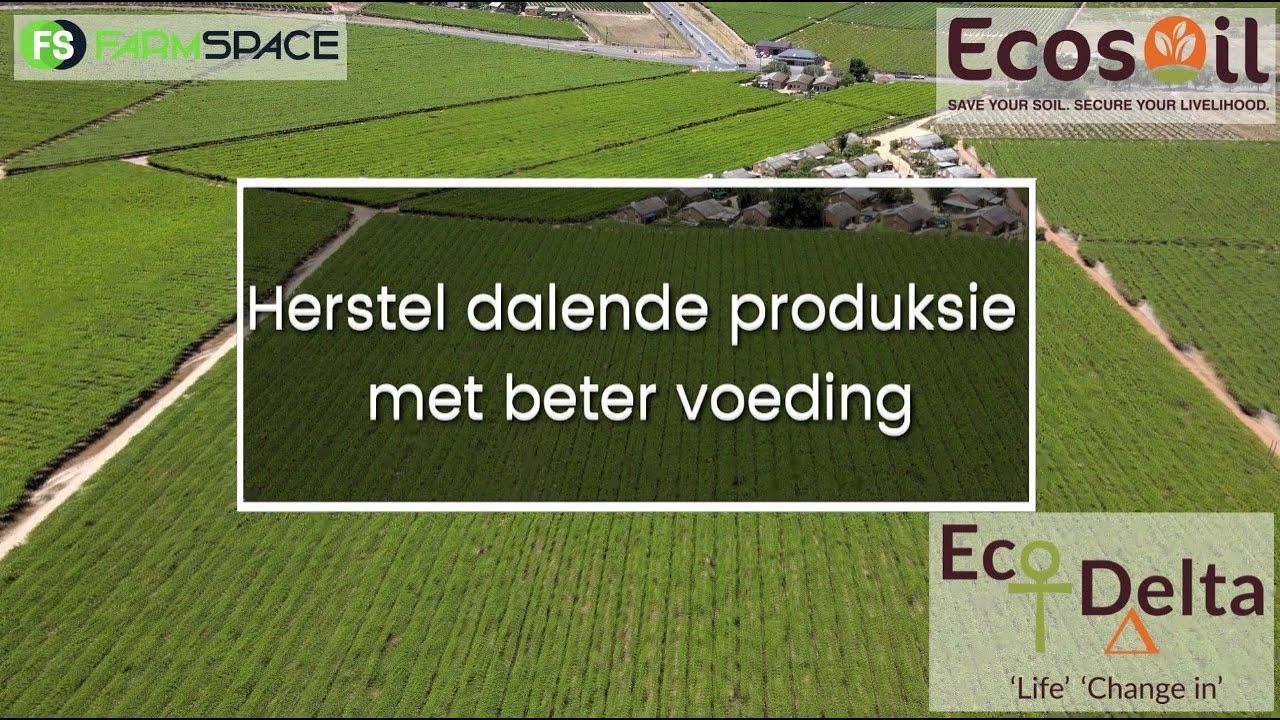 Herstel dalende produksie met beter voeding!