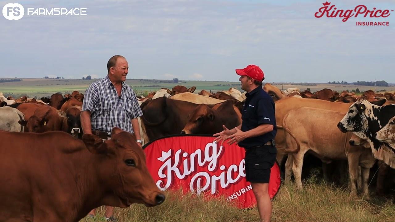 Gideon Oosthuizen gesels met ons oor brandpaaie en drukbeweiding.
