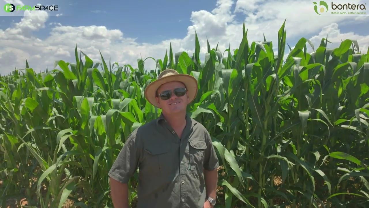 Is dit holisties moontlik om met n volle Biologiese program jou risikos te verskans?