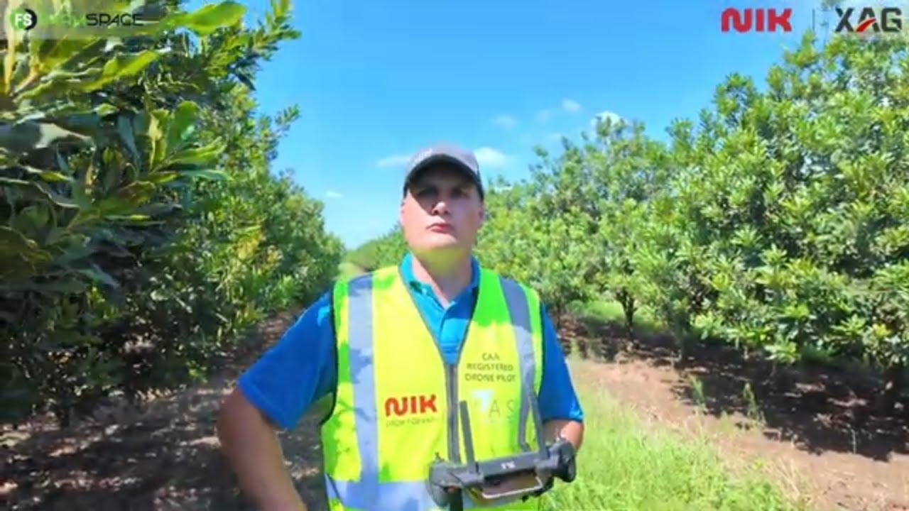 Kan die XAG P150 MAX drone makadamias penetreer?
